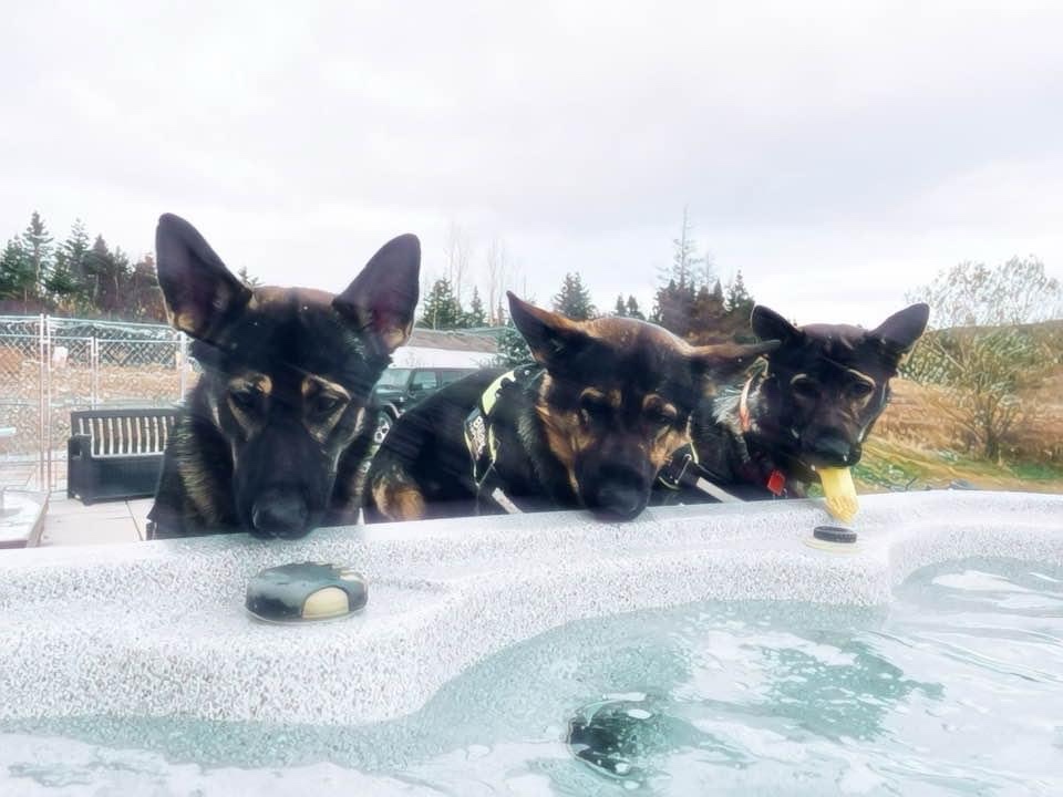 Letting Go of Other’s&nbsp;Opinions